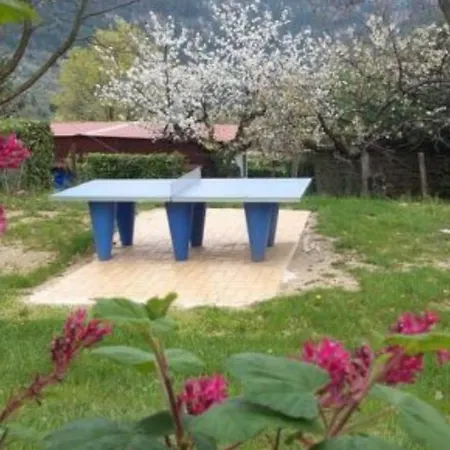 Mobil-home Avec Animaux Admis - 5 Pers. - Api-1-52-2861 Vesseaux
